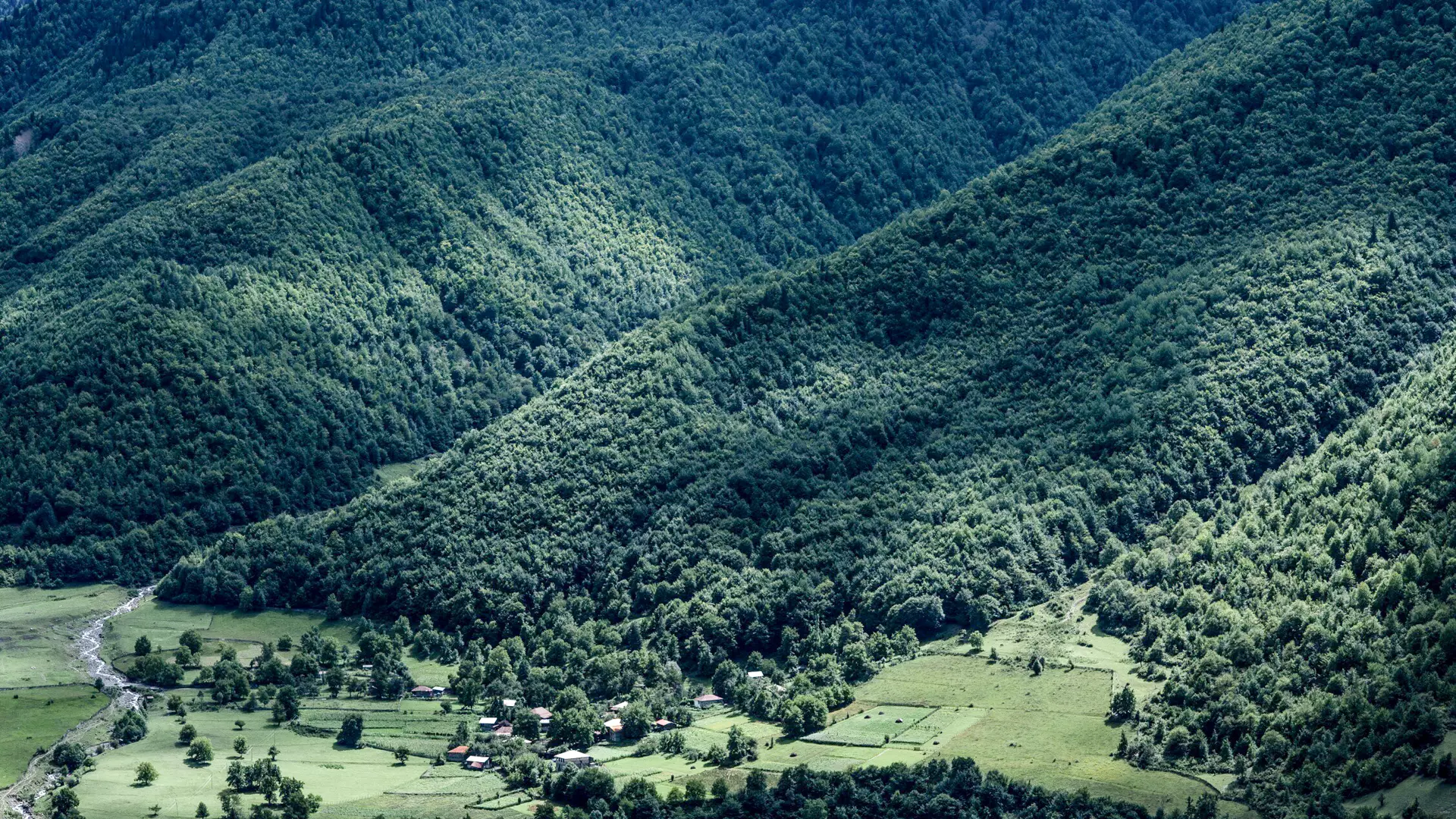 Khaishi