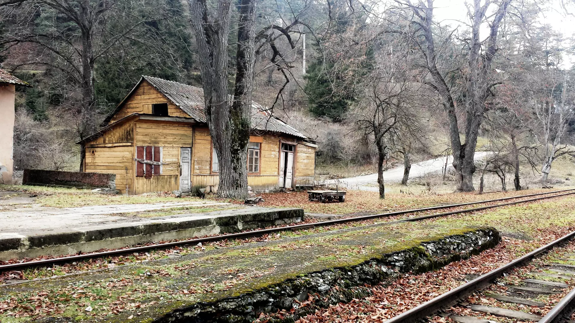 Tsagveri