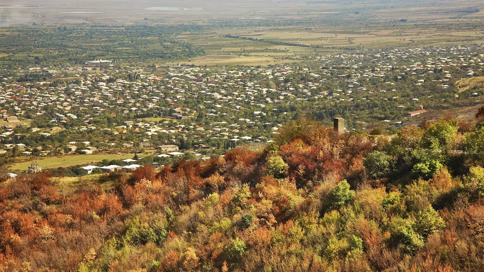 Tsnori