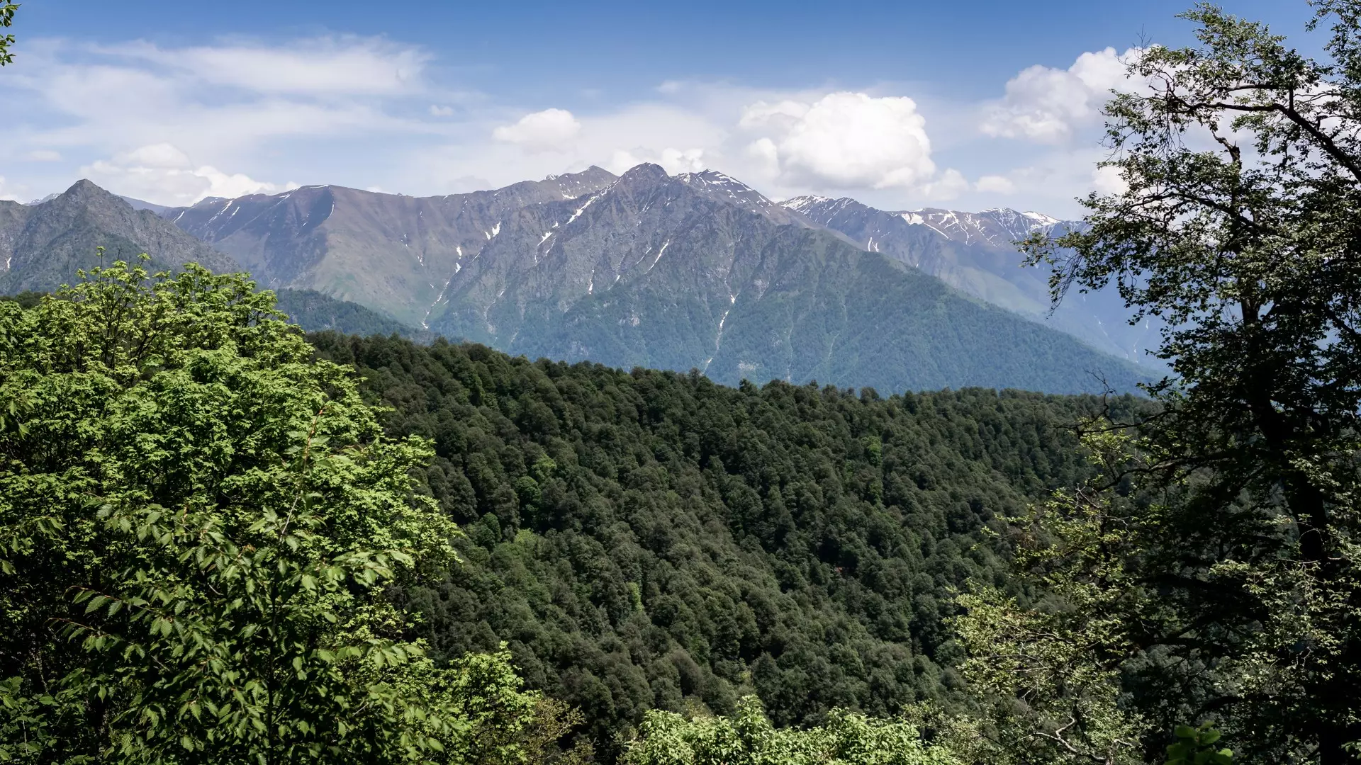 Pankisi Gorge