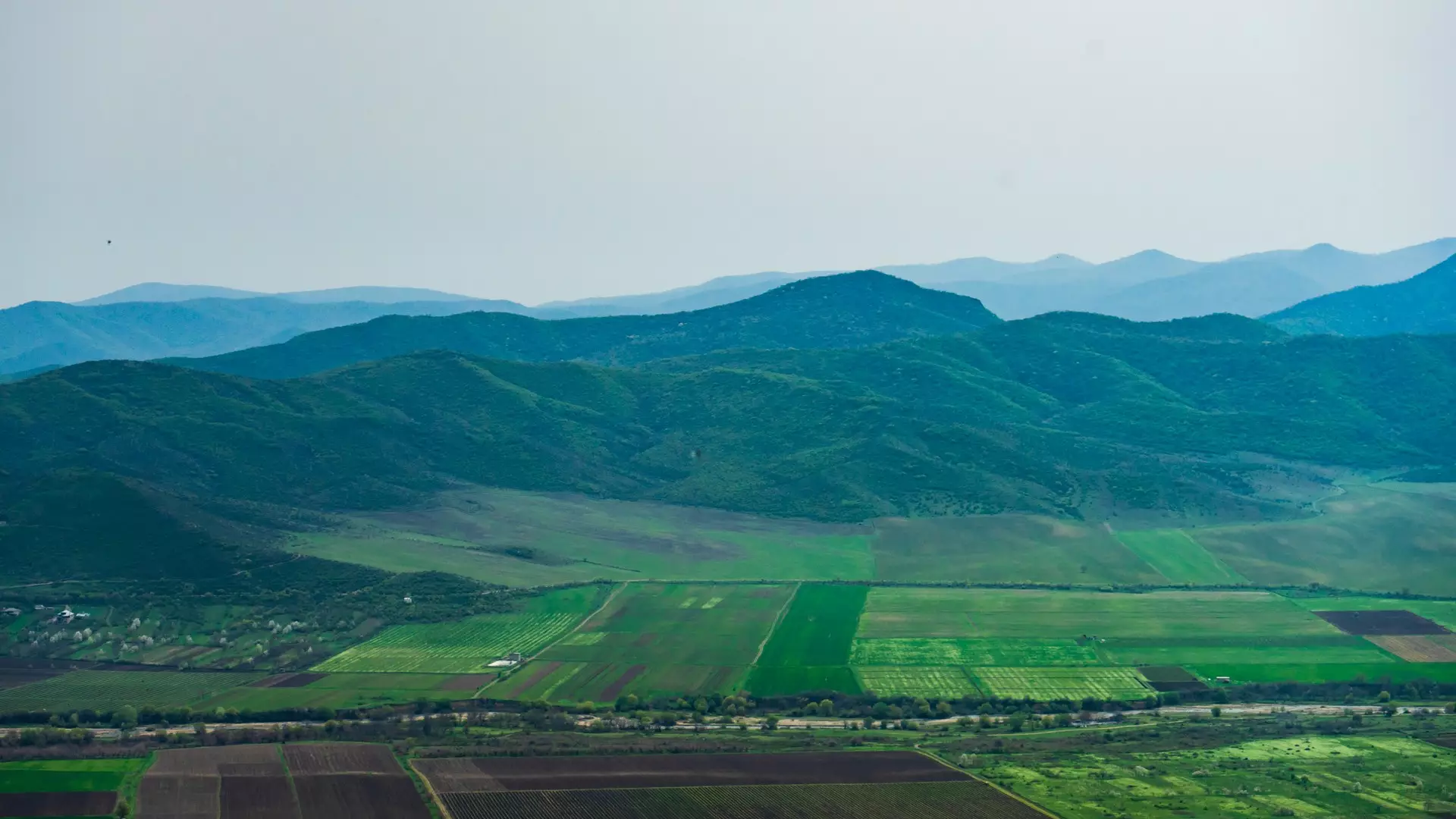 Nikozi