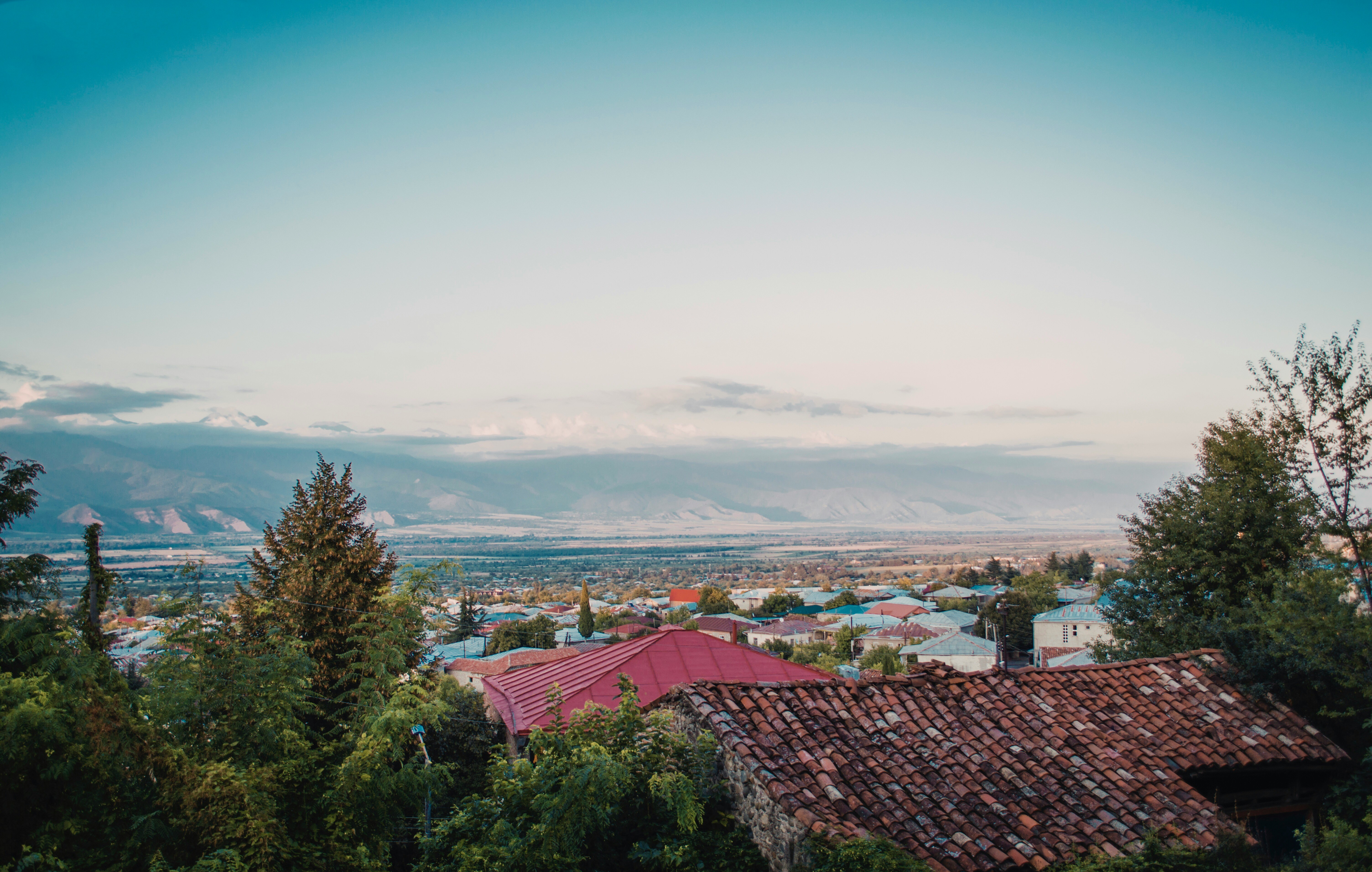Day 7: Tbilisi - Tsinandali - Telavi