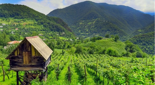 Jour 1: Arrivée à Tbilissi