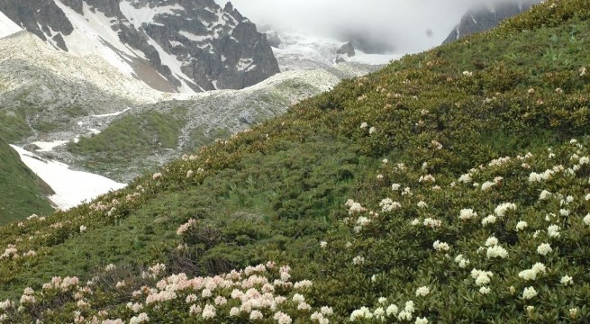 Day 7: Akhaltsikhe - Zekari Pass- Sairme