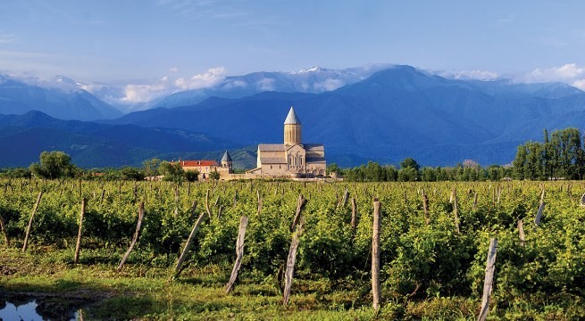 The Wine Route