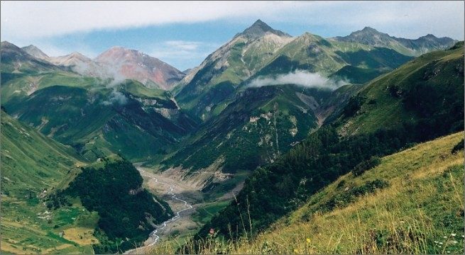 Caucasus Wildlife